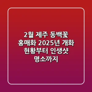 2월 제주 동백꽃 & 홍매화: 2025년 개화 현황부터 인생샷 명소까지!