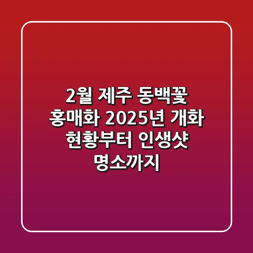 2월 제주 동백꽃 & 홍매화: 2025년 개화 현황부터 인생샷 명소까지!
