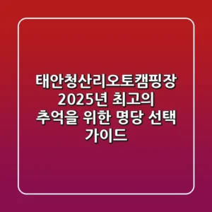 태안청산리오토캠핑장, 2025년 최고의 추억을 위한 명당 선택 가이드