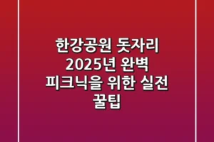 한강공원 돗자리, 2025년 완벽 피크닉을 위한 실전 꿀팁