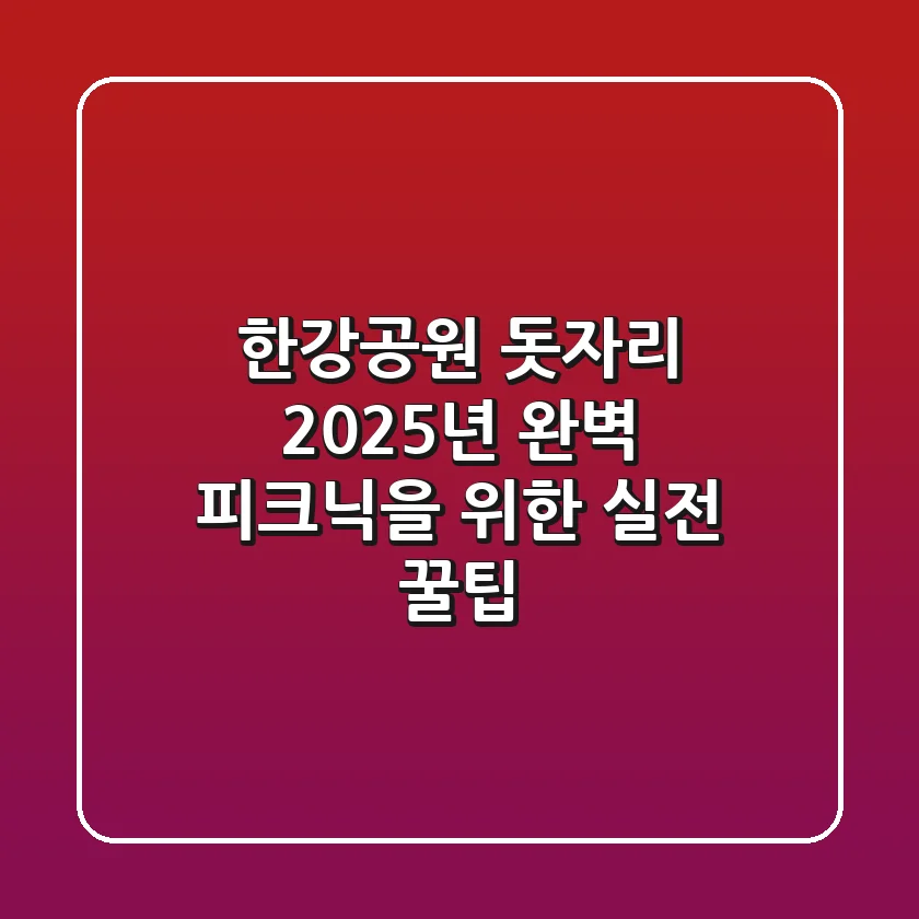 한강공원 돗자리, 2025년 완벽 피크닉을 위한 실전 꿀팁