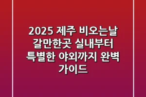 2025 제주 비오는날 갈만한곳, 실내부터 특별한 야외까지 완벽 가이드