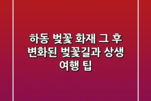 하동 벚꽃 화재, 그 후… 변화된 벚꽃길과 상생 여행 팁