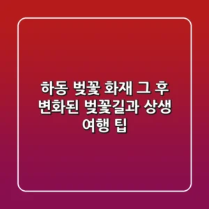 하동 벚꽃 화재, 그 후… 변화된 벚꽃길과 상생 여행 팁