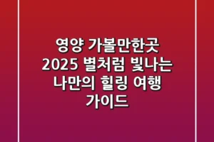 영양 가볼만한곳 2025, 별처럼 빛나는 나만의 힐링 여행 가이드