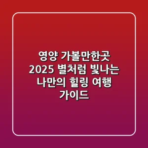 영양 가볼만한곳 2025, 별처럼 빛나는 나만의 힐링 여행 가이드